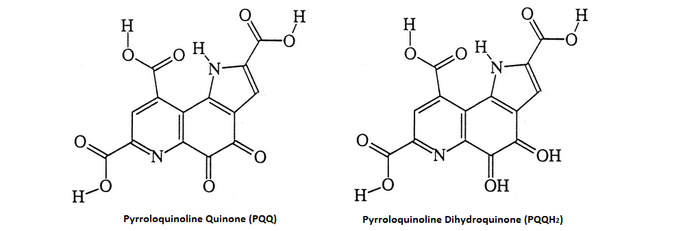 Pyrroloquinoline Quinone (PQQ) Review
